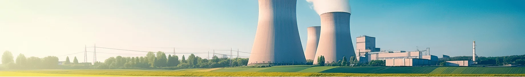 Świadczymy usługi dla wytwórców energii elektrycznej i cieplnej spalających węgiel, biomasę i gaz koksowniczy, również w krajach Uni Europejskiej 
